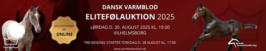 BannerDKEliteauktion2025930X180.png