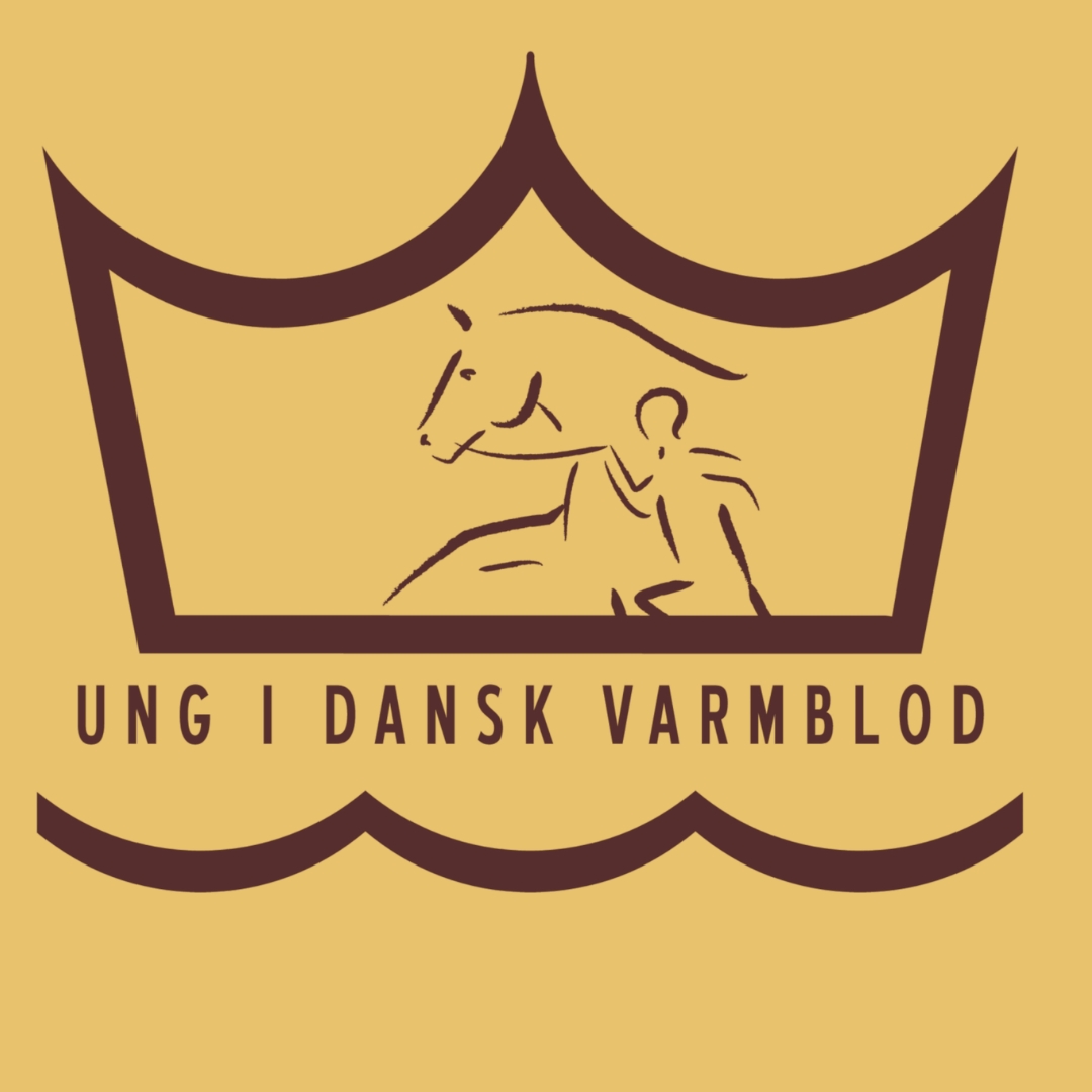 1699864051969.png
