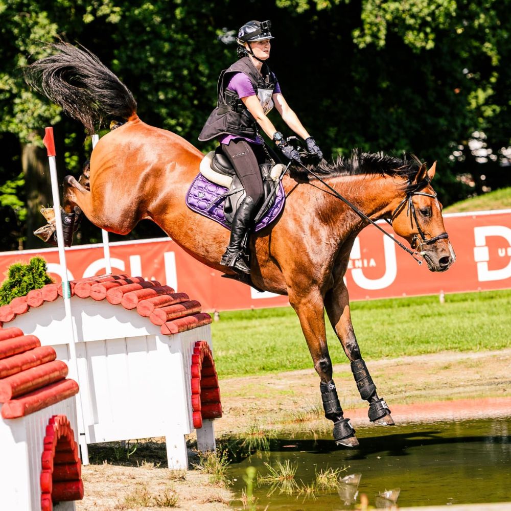 Springbane DV-hest til UVM i military